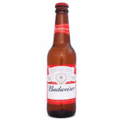 CERVEJA BUDWEISER LONG NECK 330ML