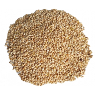PAINCO DORICO 500G